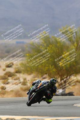 media/Apr-10-2022-SoCal Trackdays (Sun) [[f104b12566]]/Turn 5 Tree of Life (1040am)/